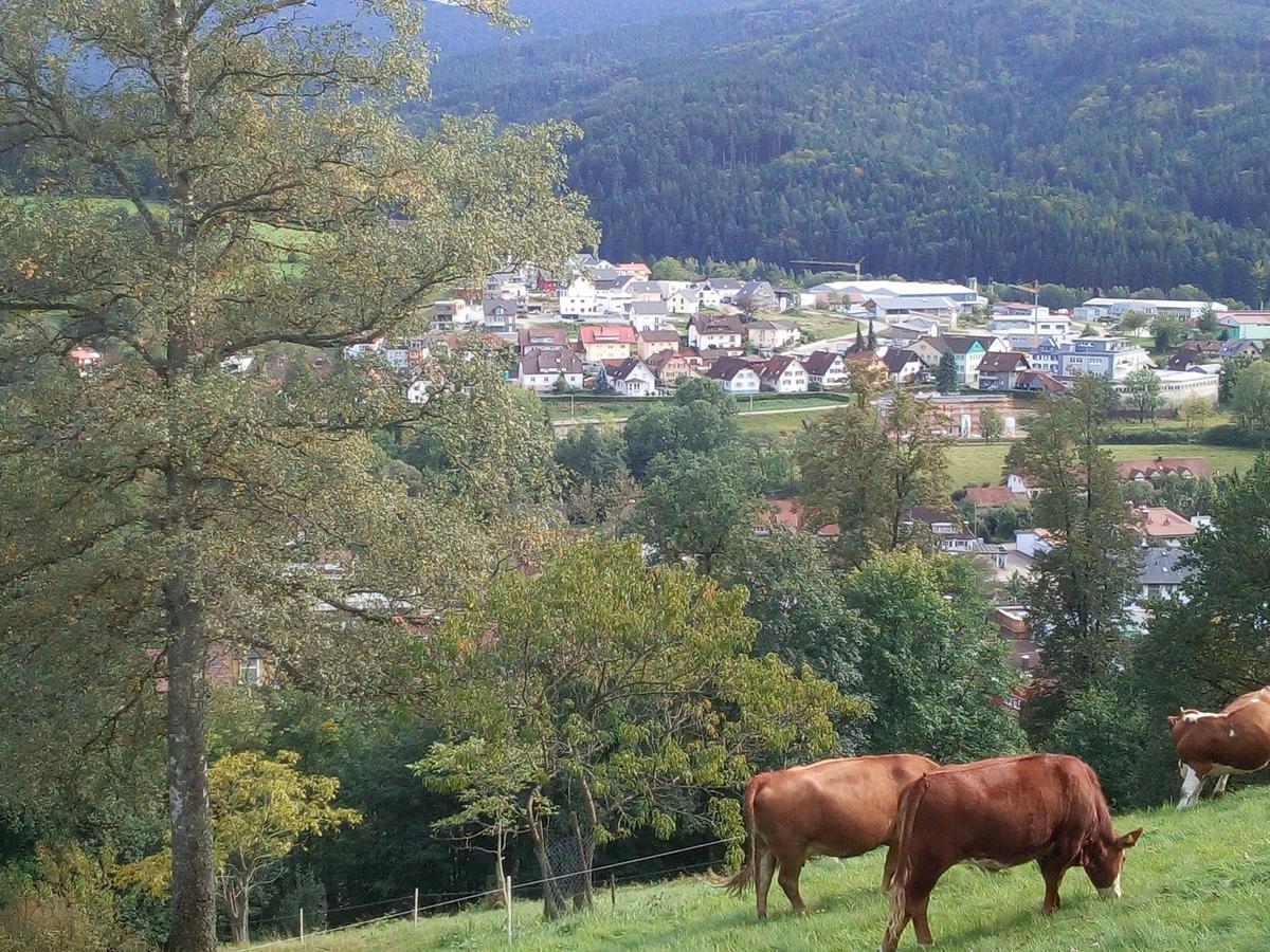 Sonnenterrasse Apartman Elzach Kültér fotó